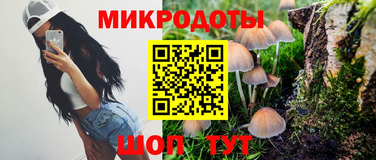 Псилоцибиновые грибы MAGIC MUSHROOMS Рославль